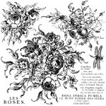 Dekor Stempel ROSE TOILE