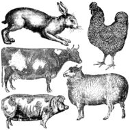 Dekor Stempel Farm Animals