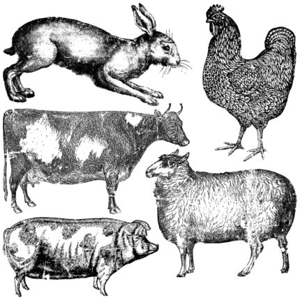Dekor Stempel Farm Animals