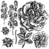 Dekor Stempel Lady of Shalott