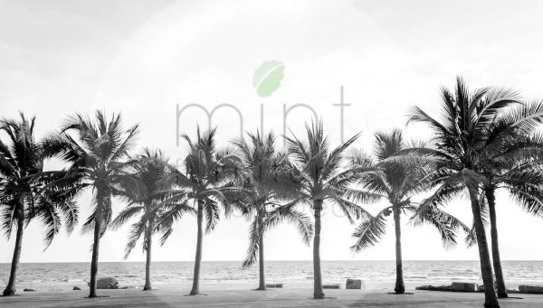 Mint by Michelle Decoupagepapier Palm trees