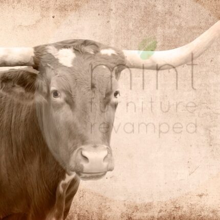 Mint by Michelle Decoupagepapier Texas Longhorn