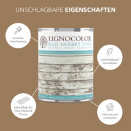 Camel Lignocolor Kreidefarbe