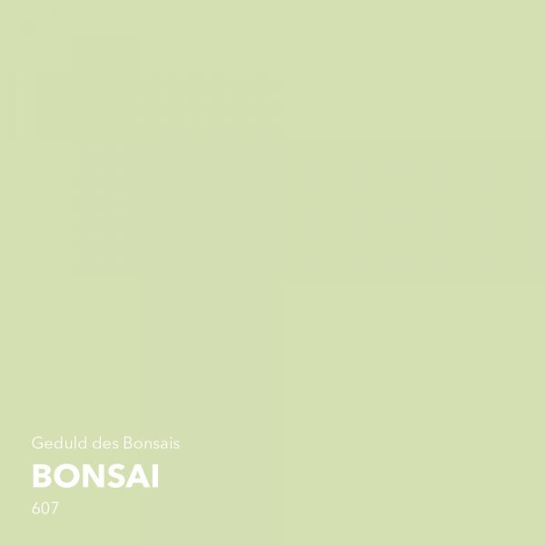 Lignocolor-Kreidefarbe-bonsai-farbton