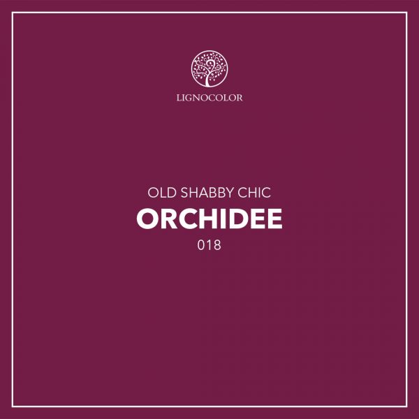orchidee-2