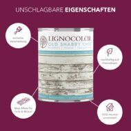 orchidee-eigenschaften