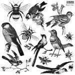 Dekor Stempel Birds & Bees Neu!