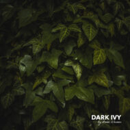 Dark-Ivy Lignocolor  Kreidefarbe - NUBILLI – Bild 4