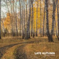 Late Autumn Lignocolor  Kreidefarbe - NUBILLI – Bild 5