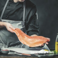 Salmon Spring Lignocolor  Kreidefarbe - NUBILLI – Bild 4