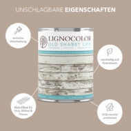 Mushroom Lignocolor  Kreidefarbe