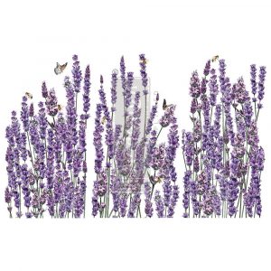 Champs de Lavende Transferfolie ReDesign