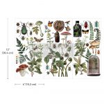 Botanical Archives Transferfolie ReDesign