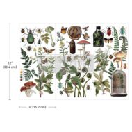 Botanical Archives Transferfolie ReDesign