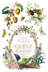 Flora Greca FloralsTransferfolie IOD – Bild 10
